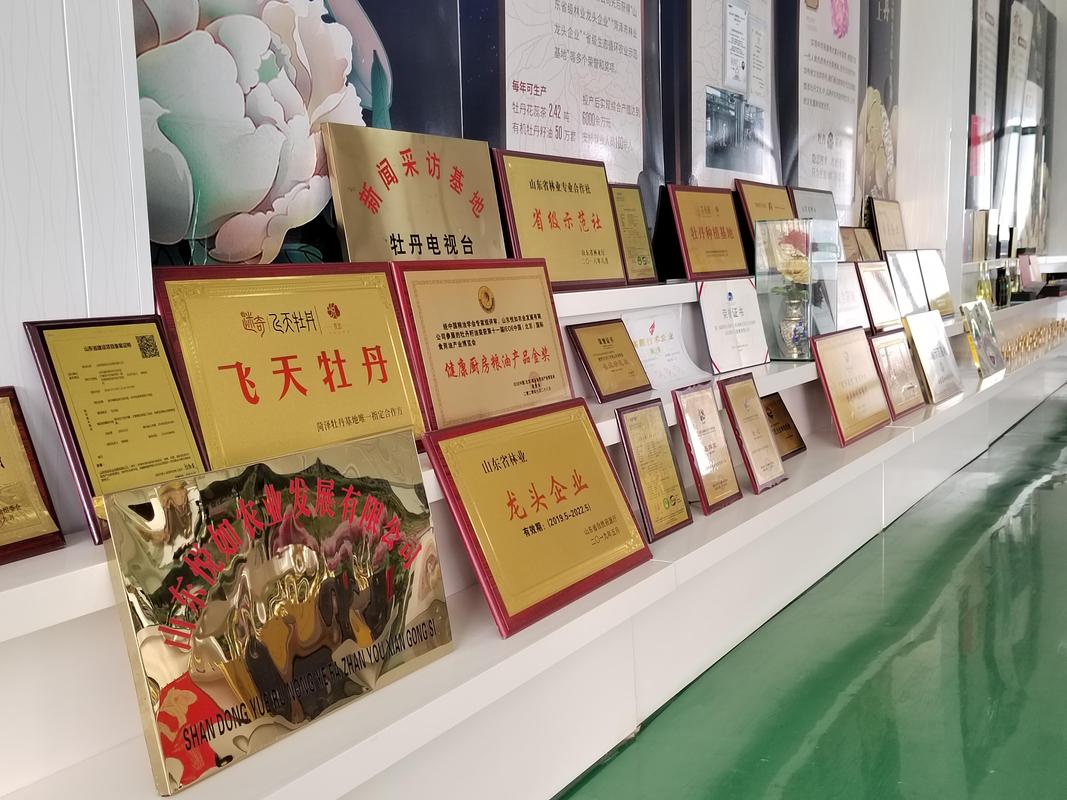璀璨明珠的崛起之路 4月10日,菏泽市牡丹区餐饮业协会一行赴山东悦如